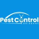 Silverfish Control Brisbane logo